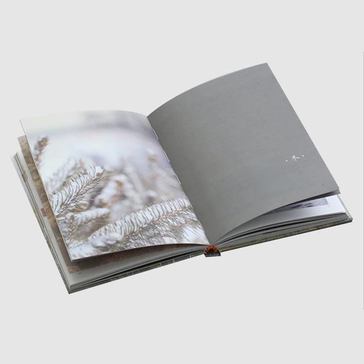 Hoe kan een enterprise -brochure uw merk verbeteren?